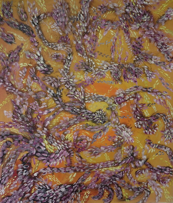 Coral Studies 15