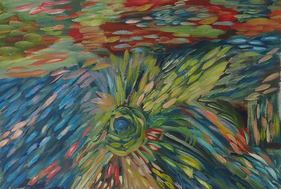 Coral Studies 17