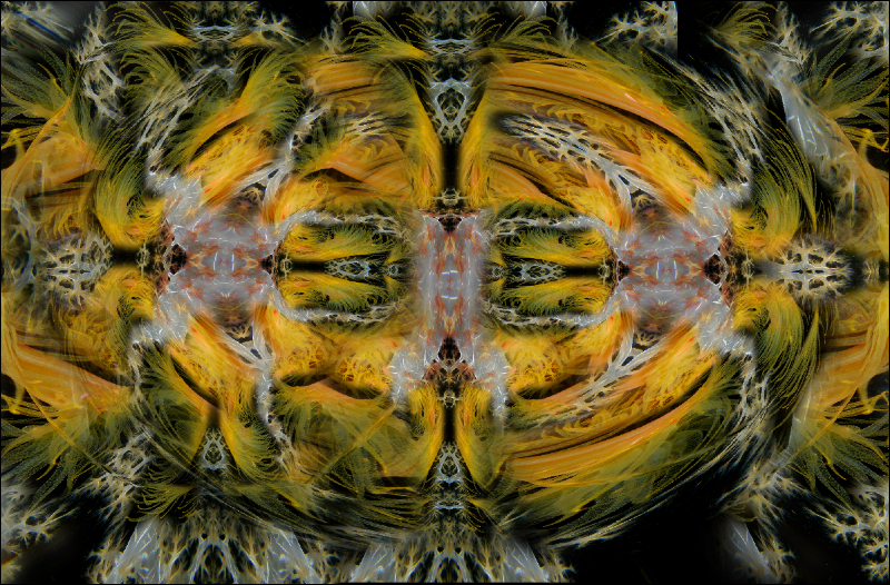 Coral Reef Mosaic 6
