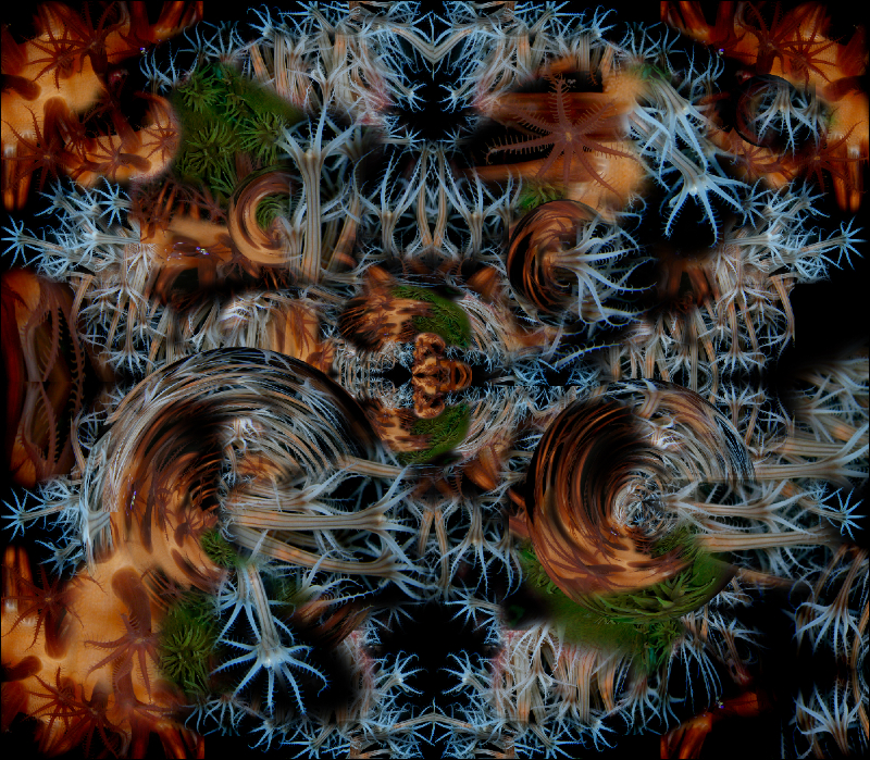Coral Reef Mosaic 109