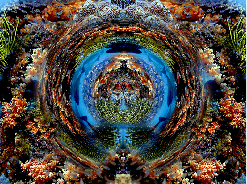 Coral Reef Mosaic 112