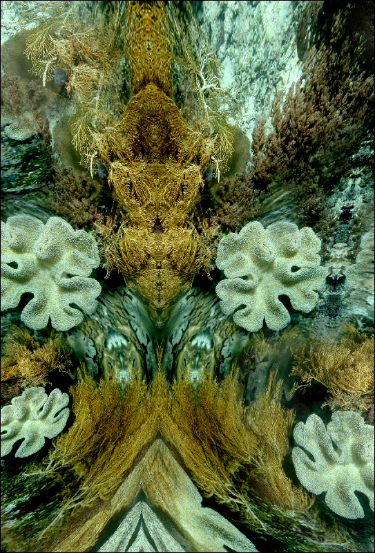 Coral Reef Mosaic 115