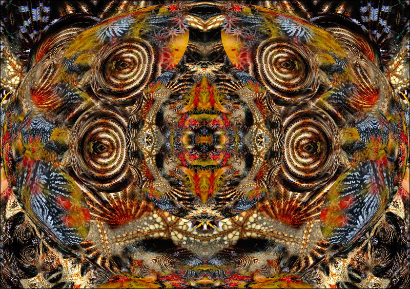 Coral Reef Mosaic 119
