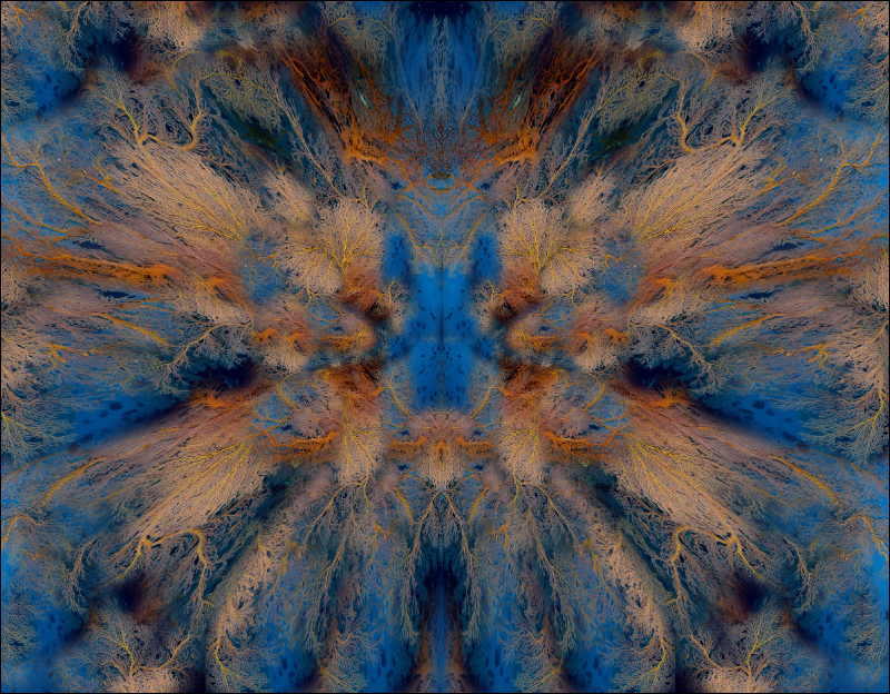 Coral Reef Mosaic 131