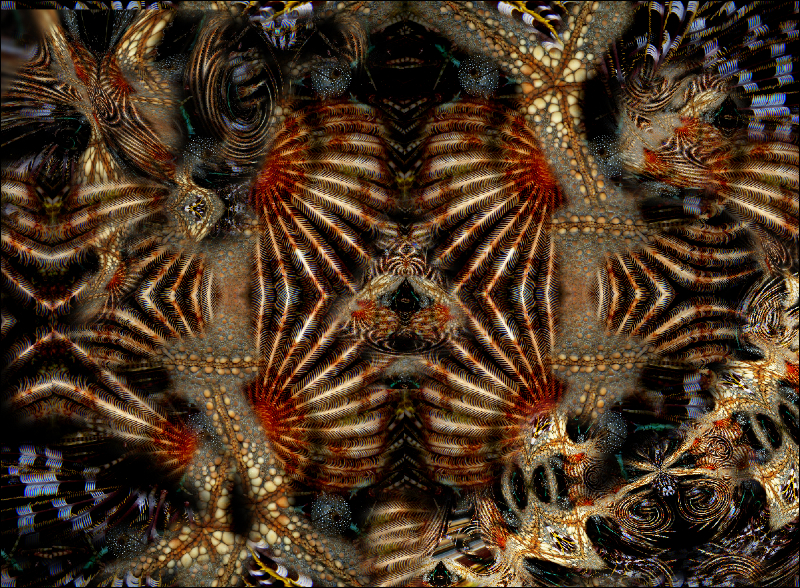 Coral Reef Mosaic 14