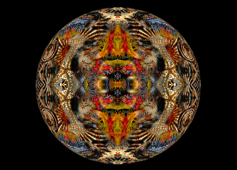 Coral Reef Mosaic 146