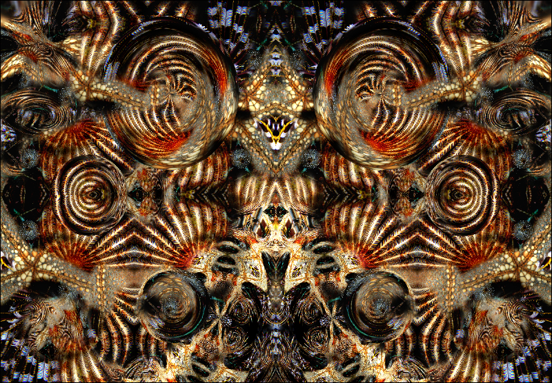 Coral Reef Mosaic 16