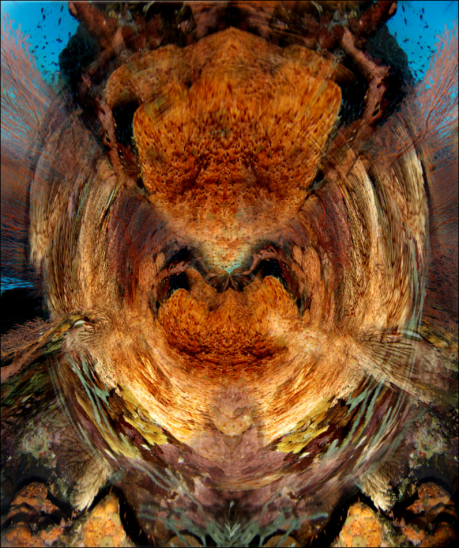 Coral Reef Mosaic 160