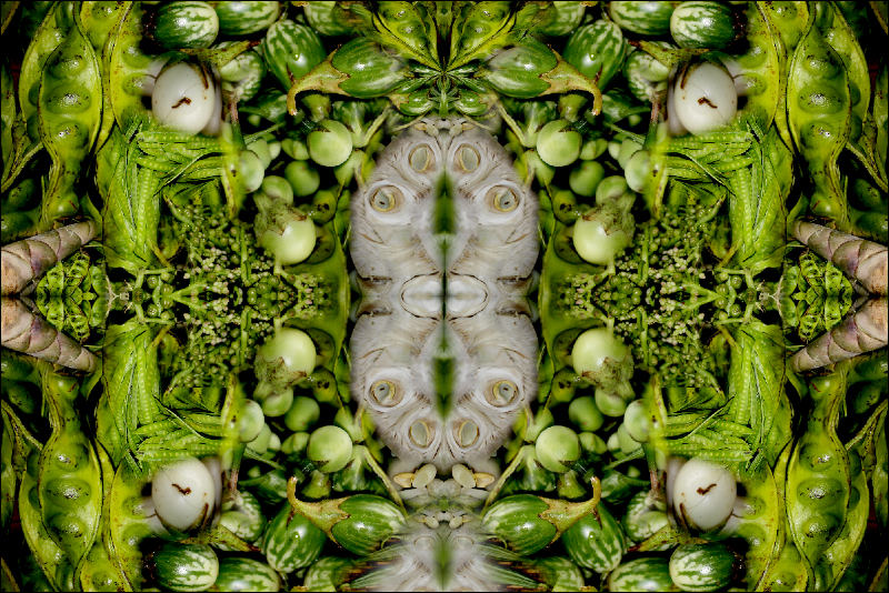Coral Reef Mosaic 164