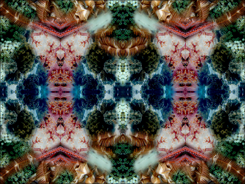 Coral Reef Mosaic 166