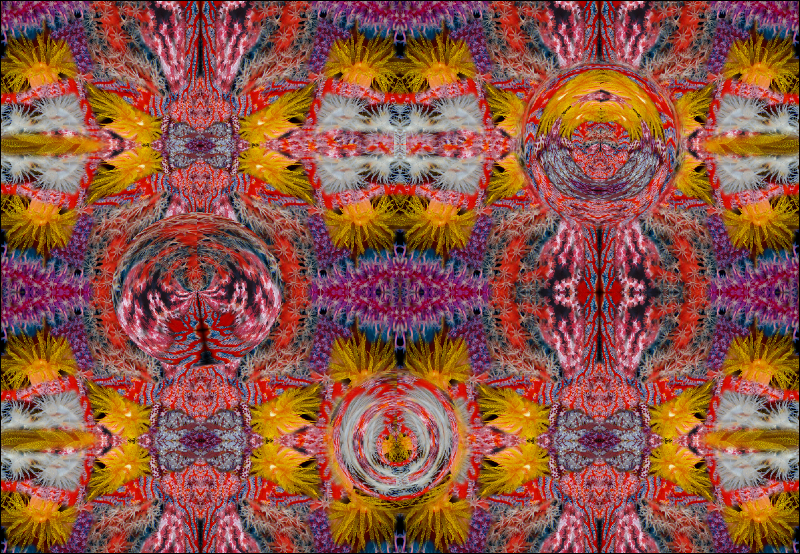 Coral Reef Mosaic 194