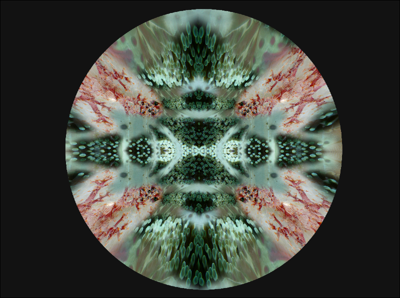 Coral Reef Mosaic 204