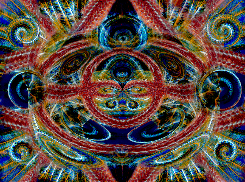 Coral Reef Mosaic 205