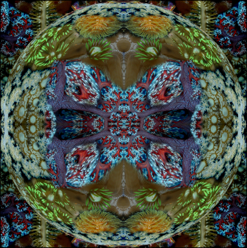 Coral Reef Mosaic 214