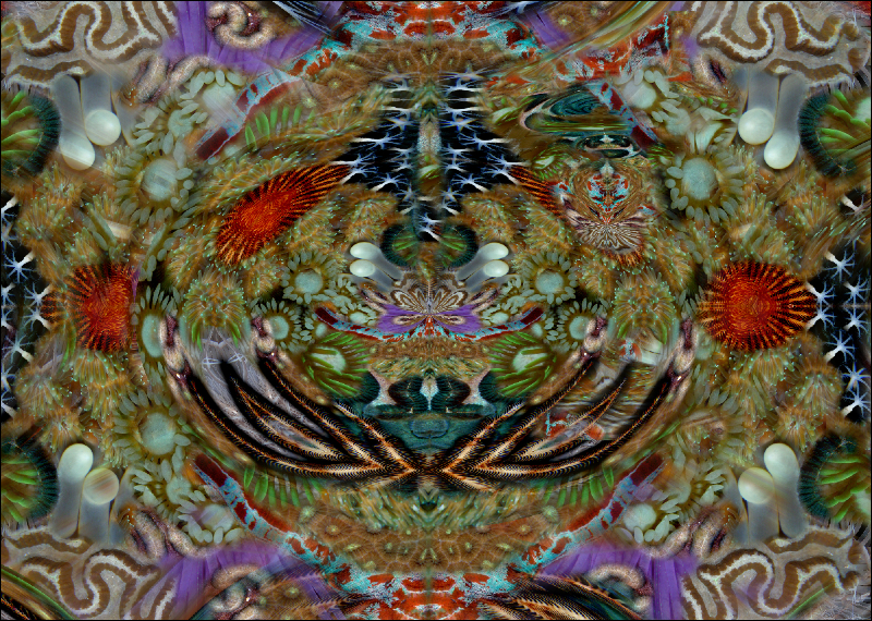 Coral Reef Mosaic 228