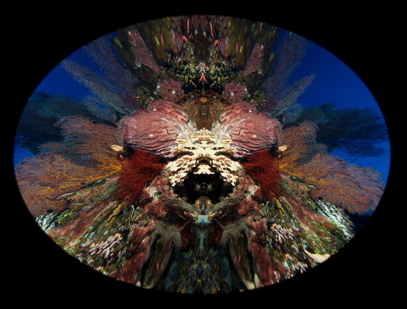 Coral Reef Mosaic 252