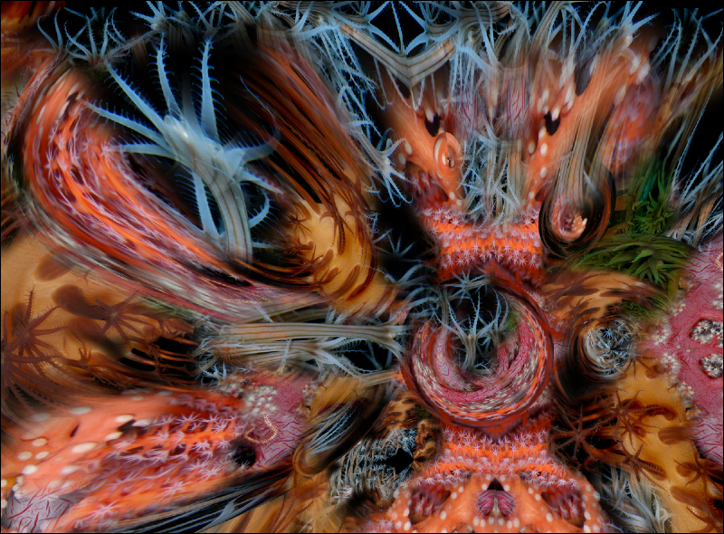 Coral Reef Mosaic 259