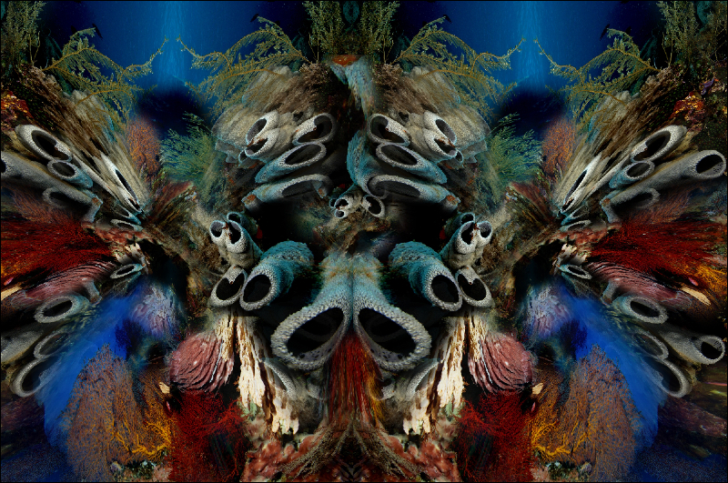Coral Reef Mosaic 261