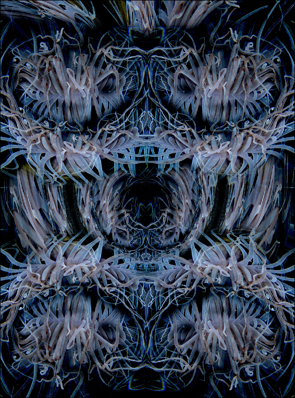 Coral Reef Mosaic 264