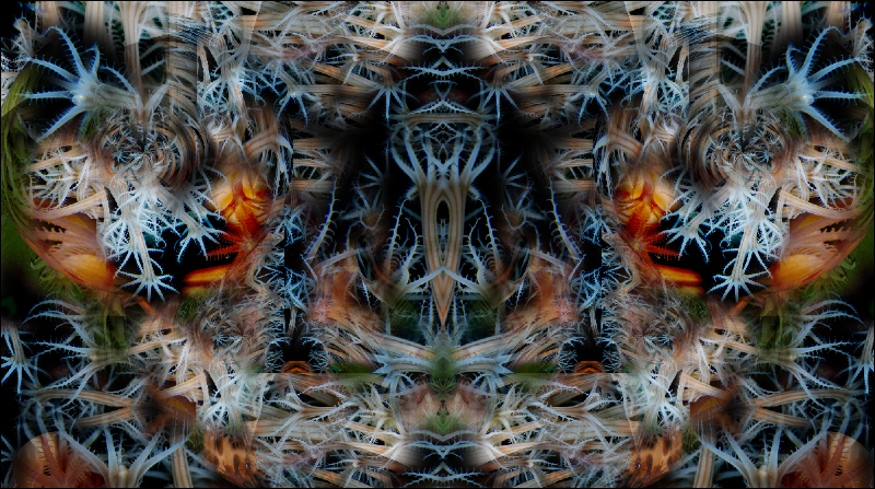 Coral Reef Mosaic 271