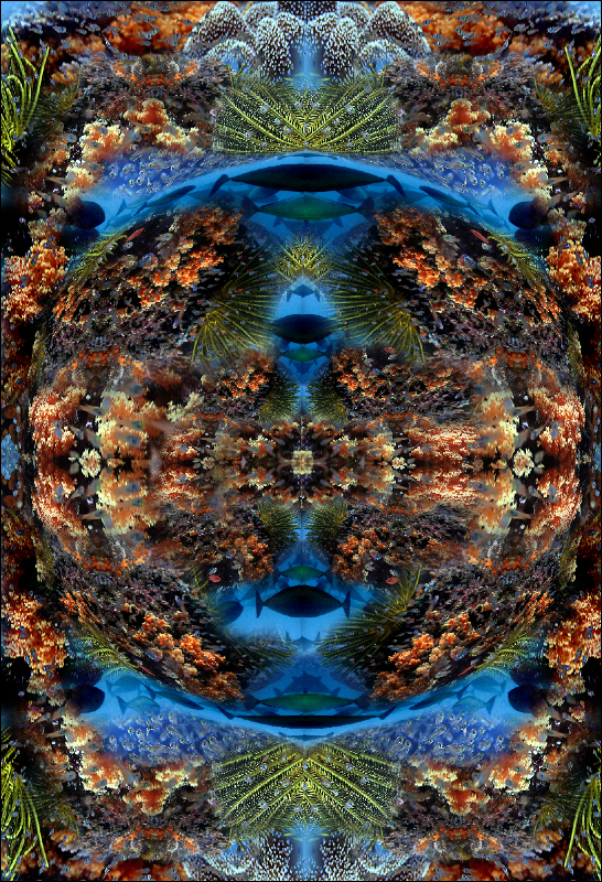 Coral Reef Mosaic 277