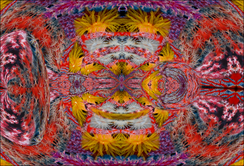 Coral Reef Mosaic 285