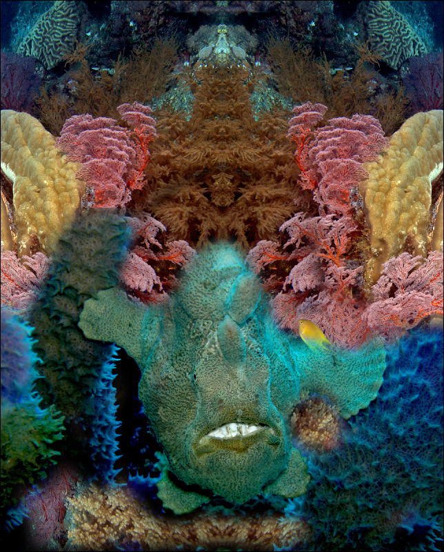 Coral Reef Mosaic 29