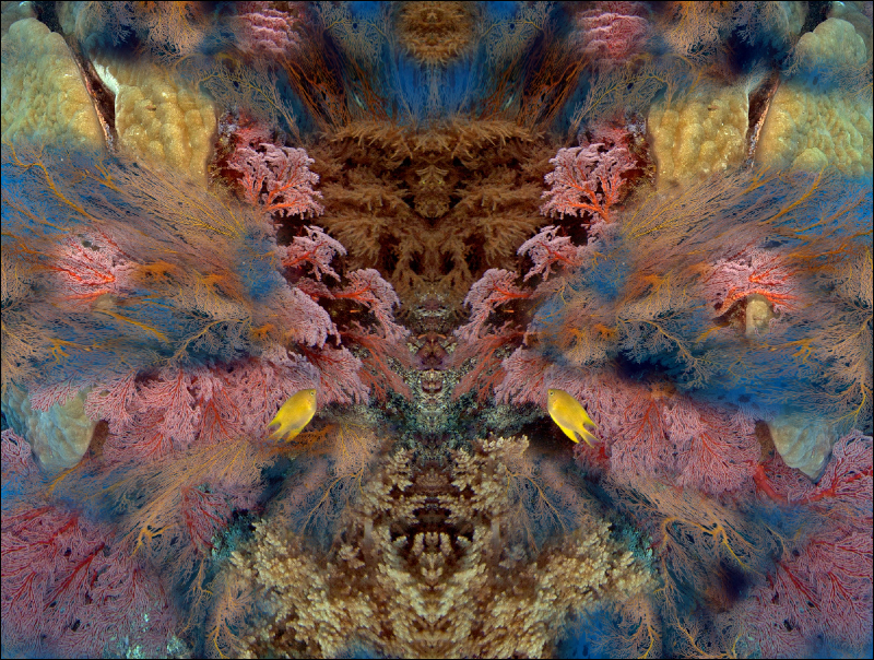 Coral Reef Mosaic 296