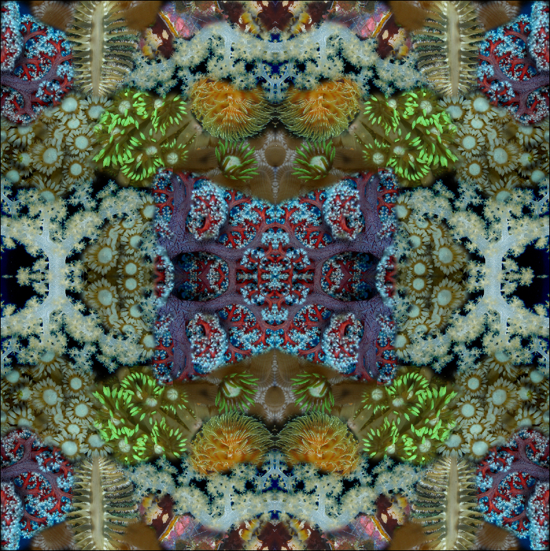 Coral Reef Mosaic 303