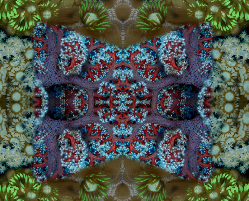 Coral Reef Mosaic 309