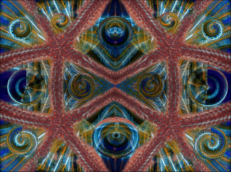 Coral Reef Mosaic 312