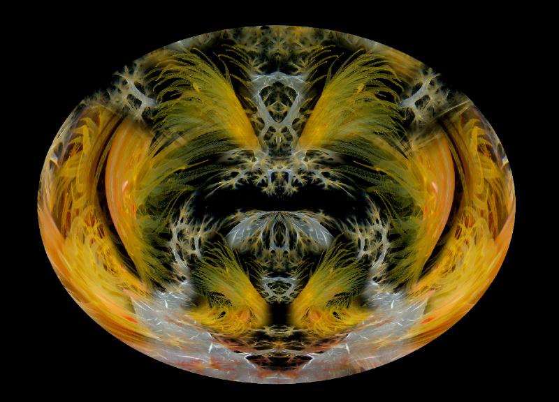Coral Reef Mosaic 323