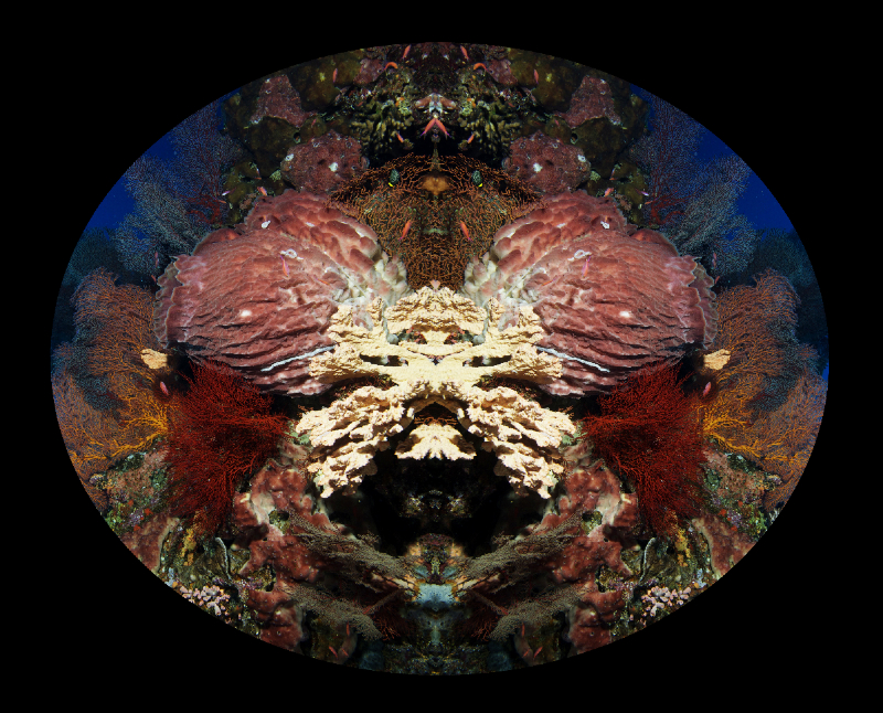Coral Reef Mosaic 325