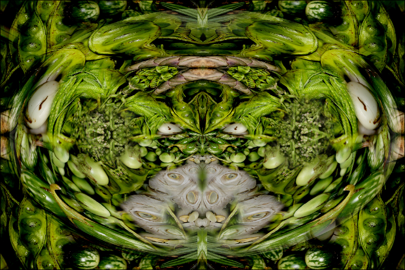 Coral Reef Mosaic 327
