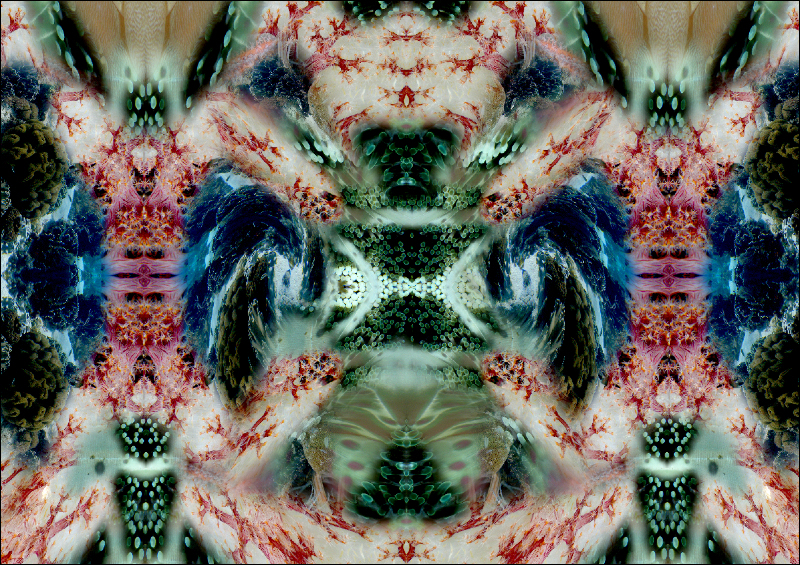 Coral Reef Mosaic 44