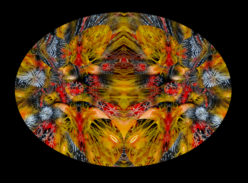 Coral Reef Mosaic 45