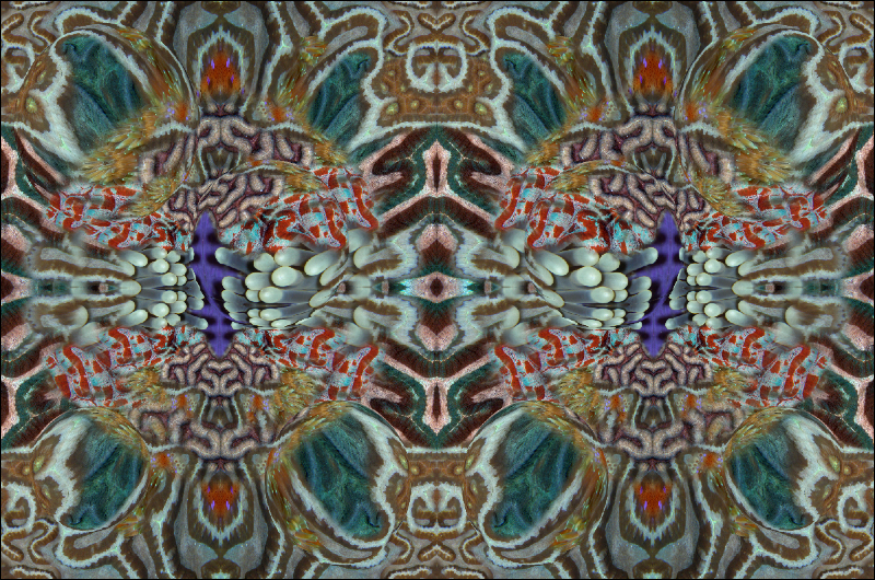 Coral Reef Mosaic 62