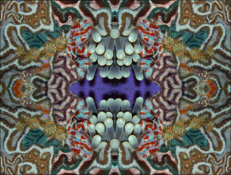 Coral Reef Mosaic 66