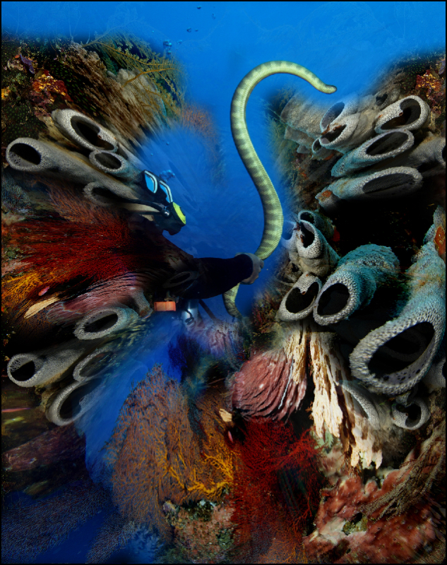 Coral Reef Mosaic 68