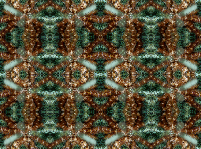Coral Reef Mosaic 72