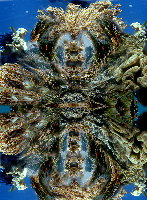 Coral Reef Mosaic 77