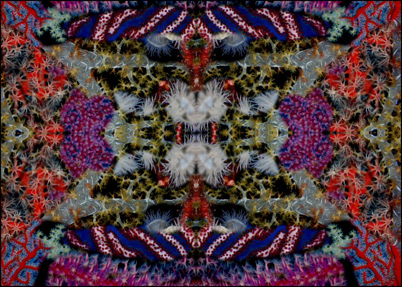 Coral Reef Mosaic 85