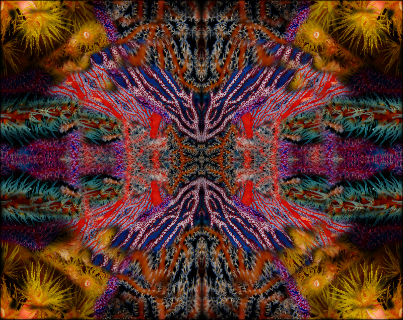 Coral Reef Mosaic 87
