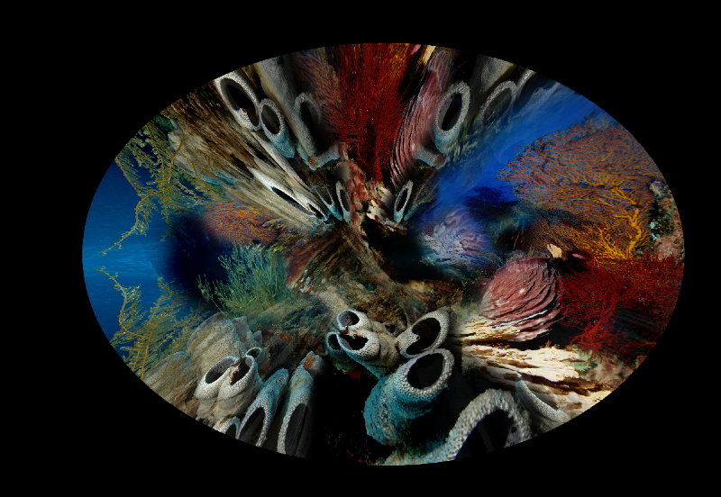 Coral Reef Mosaic 90