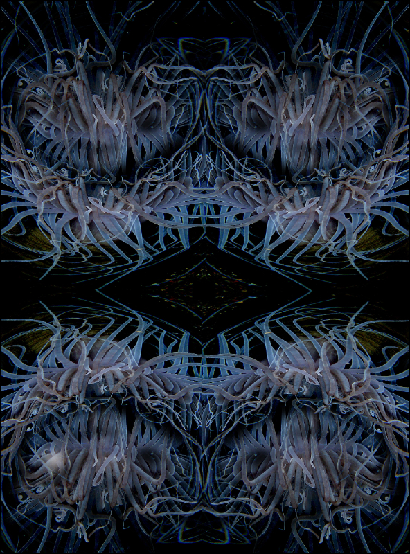 Coral Reef Mosaic 92