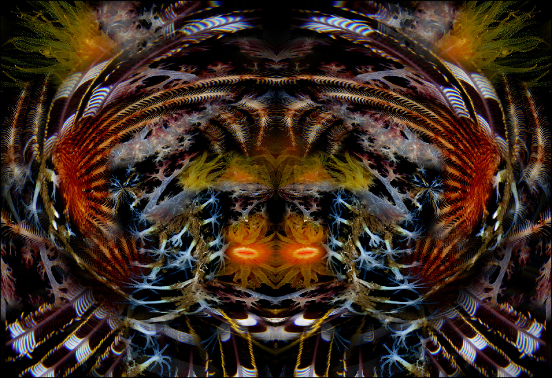 Coral Reef Mosaic 93