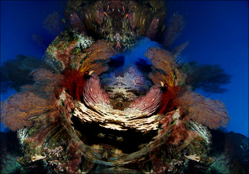 Coral Reef Mosaic 98