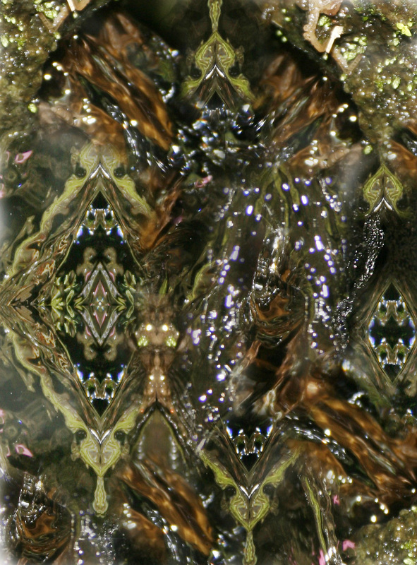 Balinese Holy Water 13