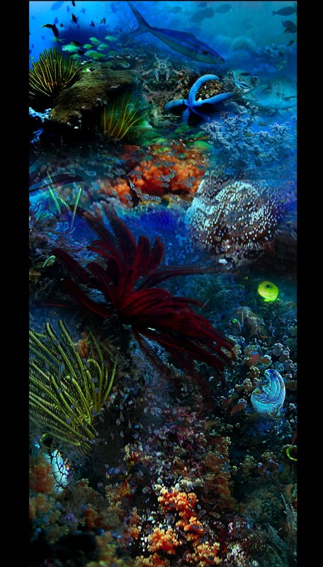 Oceanic Inspirations 31
