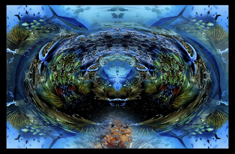 Oceanic Inspirations 33
